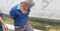 51歲男脫光進水池「性侵鯉魚」　認了本來想洗澡：看魚游動勾起慾望